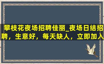 日照夜场招聘